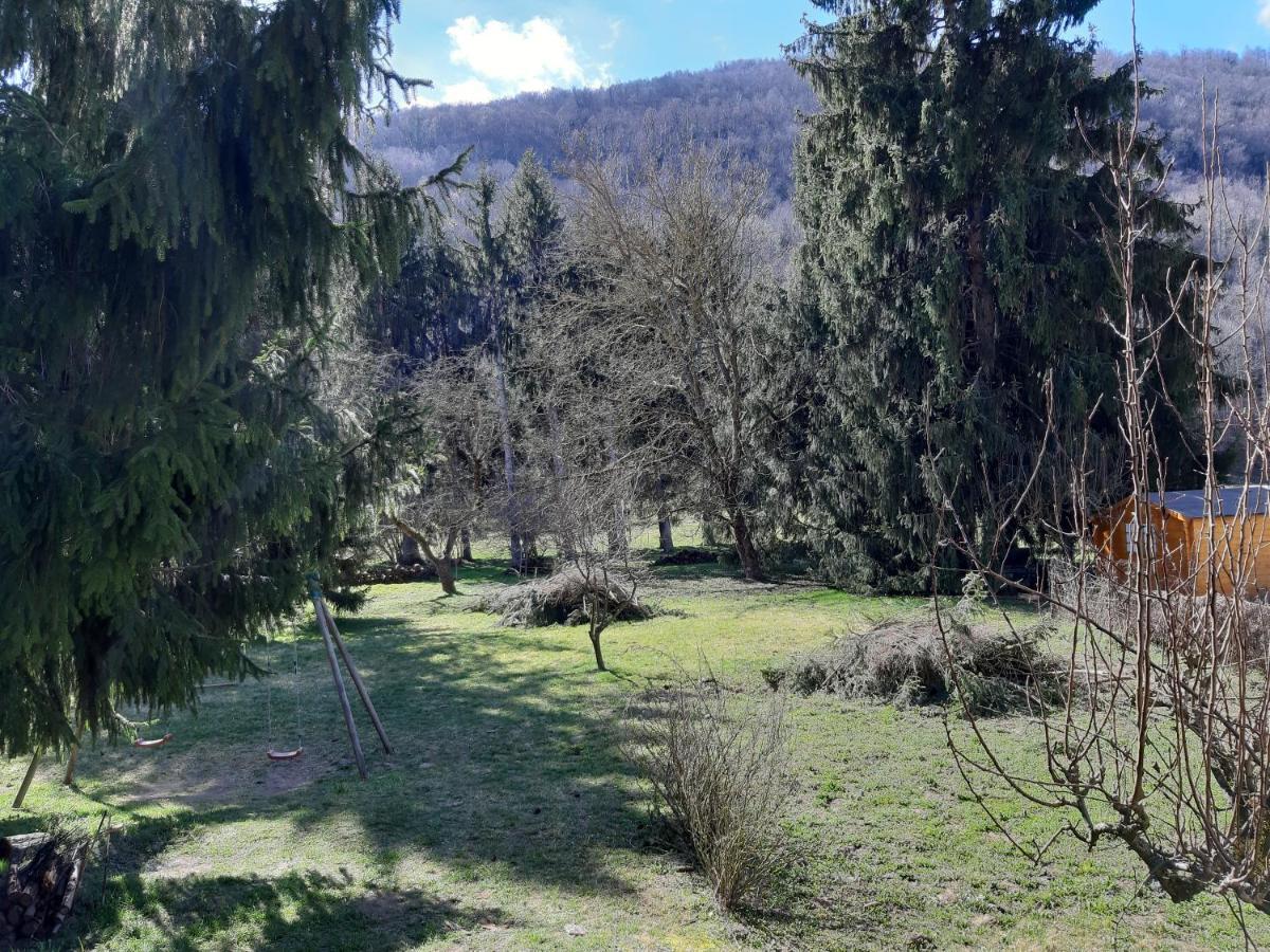 Chalet Confort Proche D Ax 3 Domaines Vebre