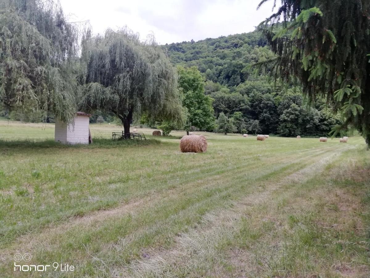 Confort Proche D Ax 3 Domaines Vebre
